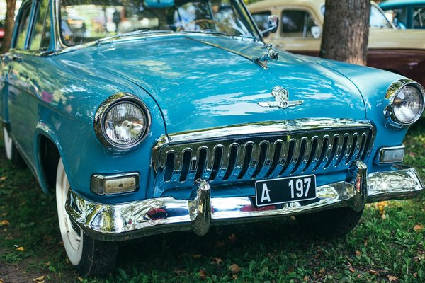 Portraits de personnalités qui ont adopté le lifestyle flexitarien